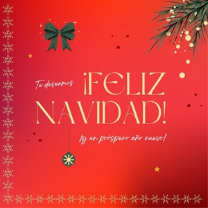 CAMPAÑA NAVIDAD 